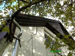 458604925_8703799816308139_534072904747455125_n